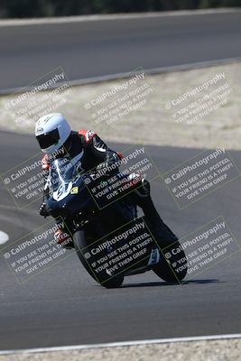 media/Sep-21-2025-TrackDaz (Sun) [[277c75b276]]/C Group/1140pm (Turn 3)/